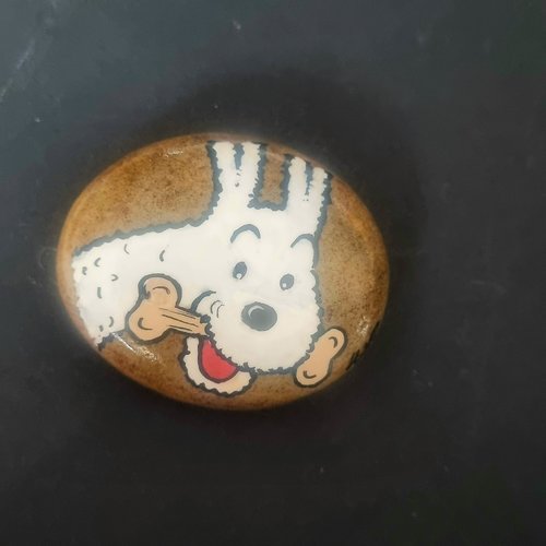 Les galets tintin et milou de wonder