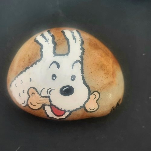 Les galets tintin et milou de wonder