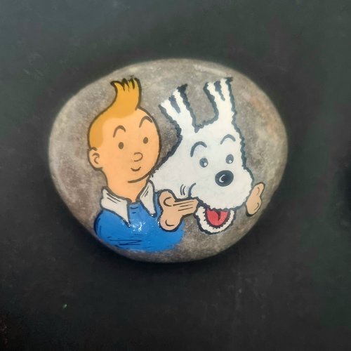 Les galets tintin et milou de wonder