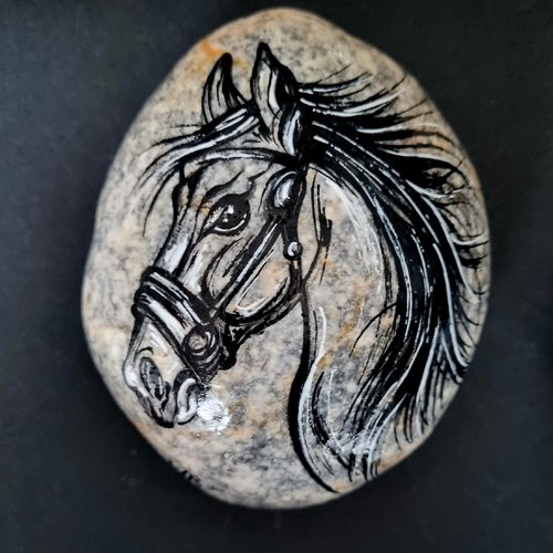 Galets chevaux  de wonder