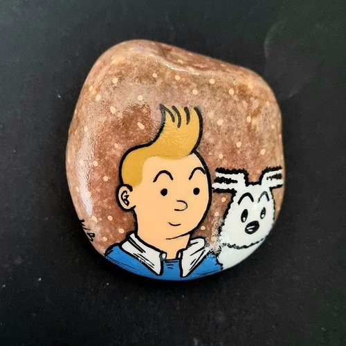 Les galets tintin et milou de wonder