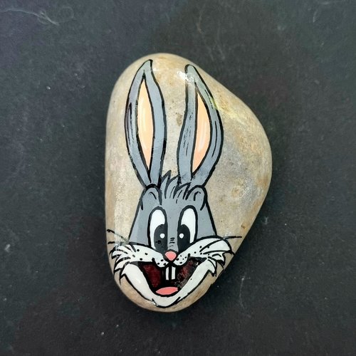 Les galets dessins animés disney de wonder