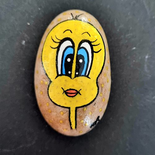 Les galets dessins animés disney de wonder