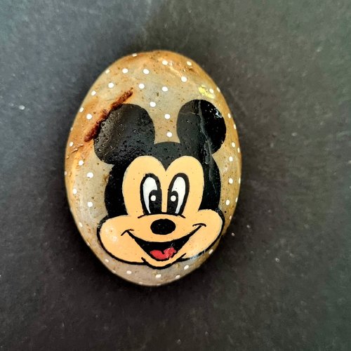 Les galets dessins animés disney de wonder