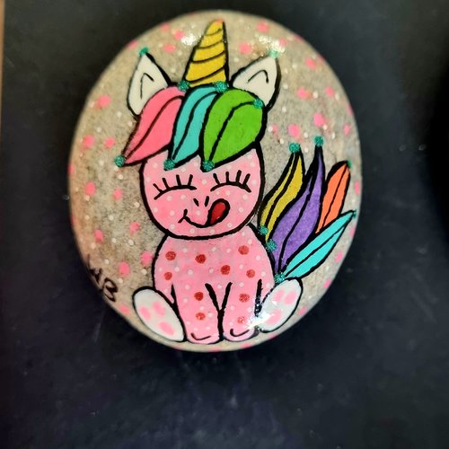 Les galets licorne de wonder