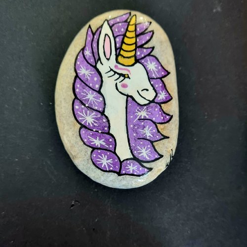 Les galets licorne de wonder