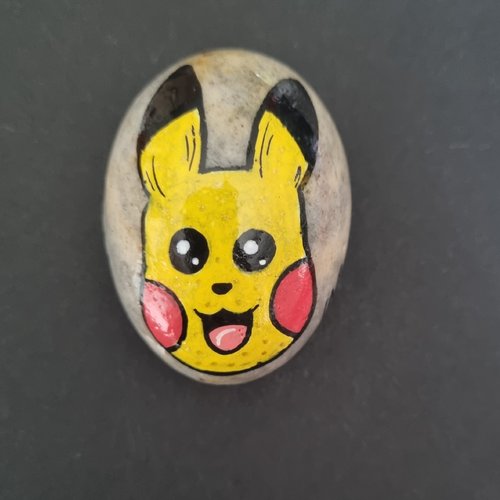 Les galets personnages pokemon de wonder