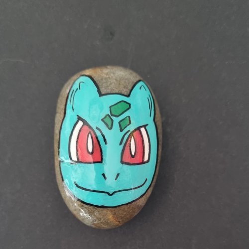Les galets personnages pokemon de wonder