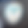 Les galets blanc/bleu de wonder