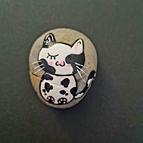 Les galets chats de wonder