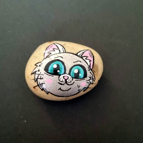 Les galets chats de wonder