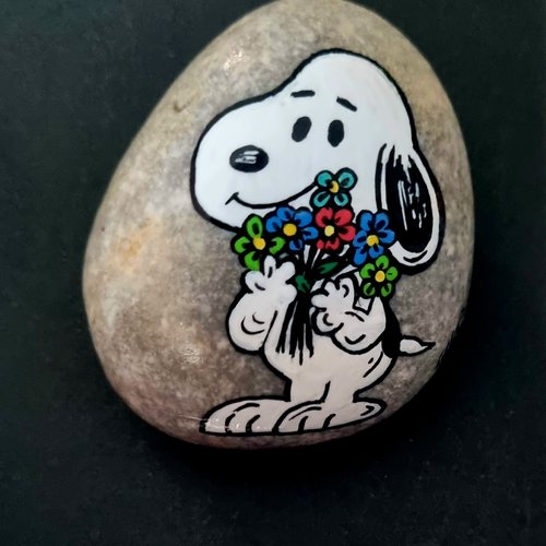 Les galets snoopy de wonder