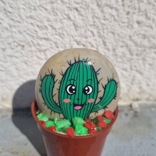 Les galets pots de cactus de wonder