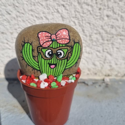 Les galets pots de cactus de wonder
