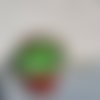 Les galets pots de cactus de wonder
