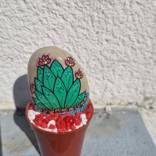 Les galets pots de cactus de wonder