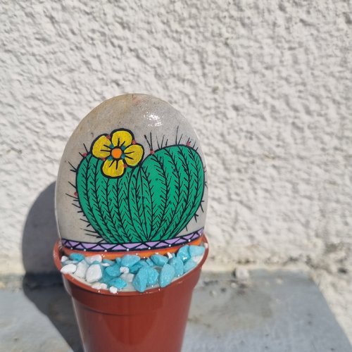 Les galets pots de cactus de wonder