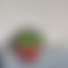 Les galets pots de cactus de wonder
