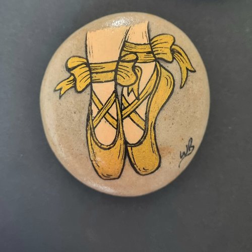 Les galets chaussons de danse classique de wonder