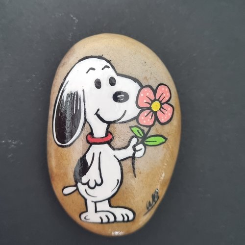 Les galets snoopy de wonder