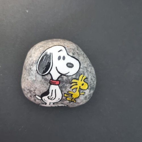 Les galets snoopy de wonder