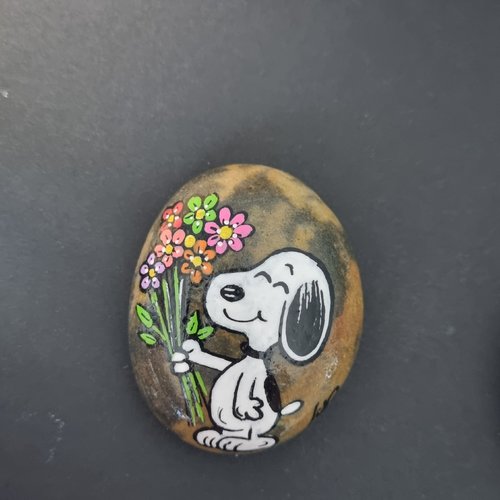 Les galets snoopy de wonder