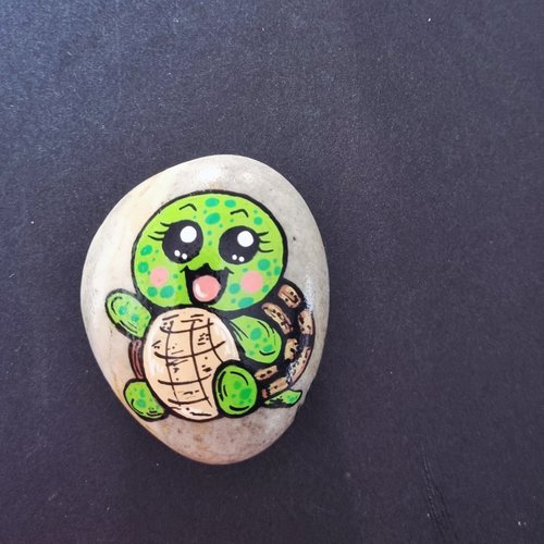 Les galets tortues de wonder