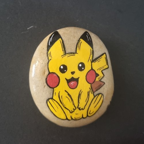 Les galets personnages pokemons de wonder