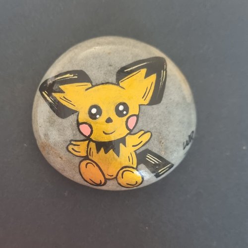 Les galets personnages pokemons de wonder