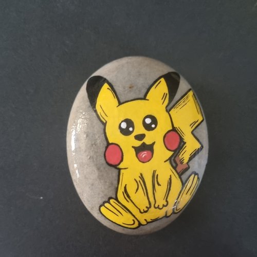 Les galets personnages pokemons de wonder