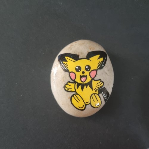 Les galets personnages pokemons de wonder