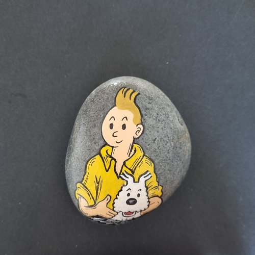 Les galets tintin et milou de wonder