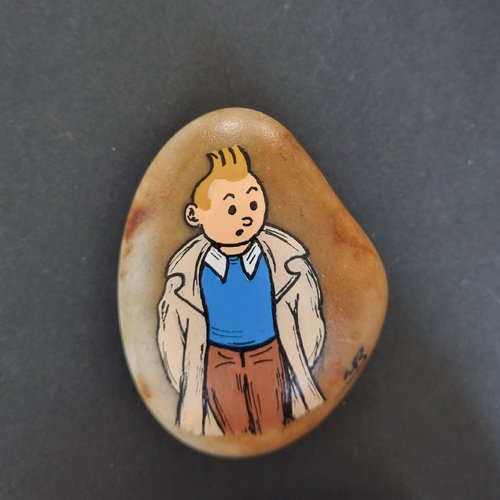 Les galets tintin et milou de wonder