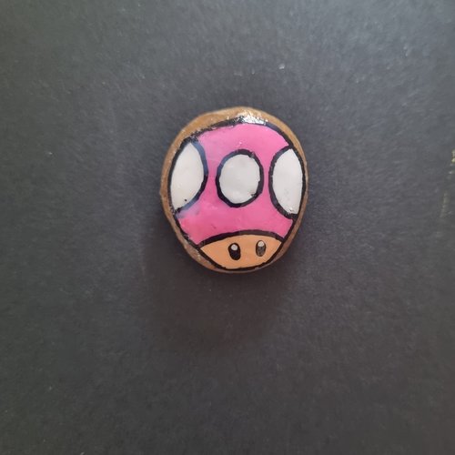 Les galets personnages de mario bros
