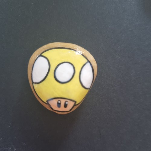 Les galets personnages de mario bros