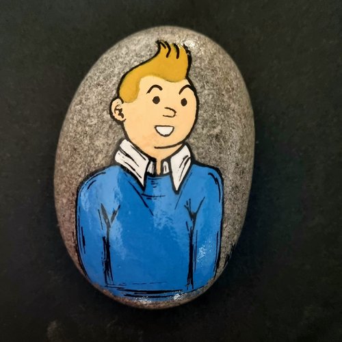 Les galets tintin et milou de wonder