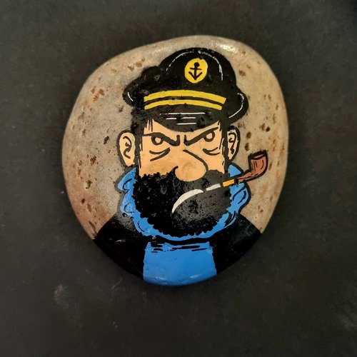 Les galets tintin et milou de wonder