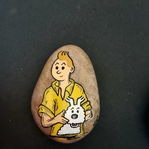 Les galets tintin et milou de wonder