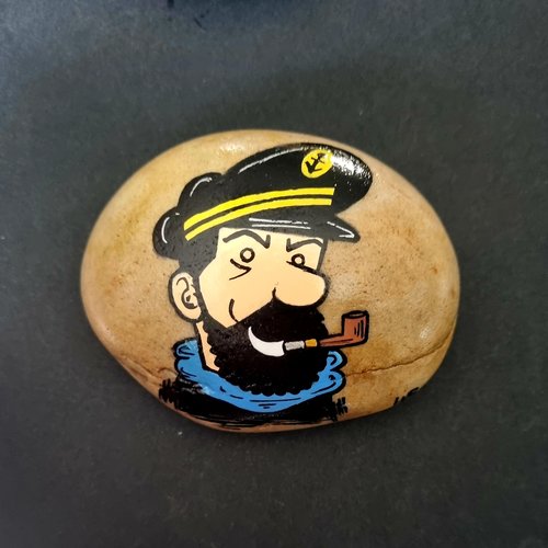 Les galets tintin et milou de wonder