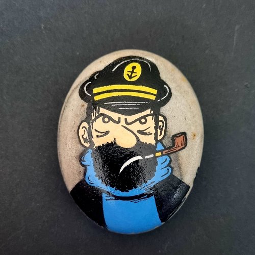 Les galets tintin et milou de wonder