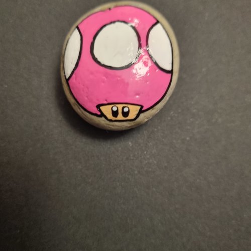 Les galets personnages de mario bros