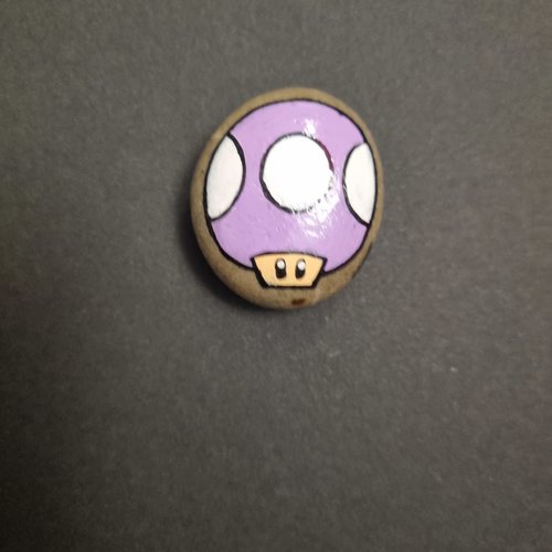 Les galets personnages de mario bros