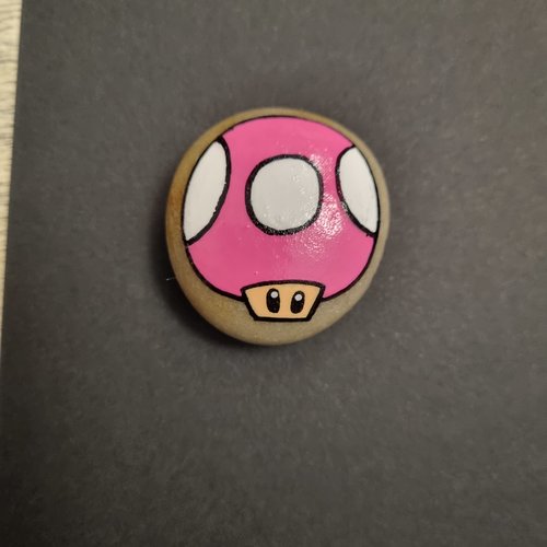 Les galets personnages de mario bros