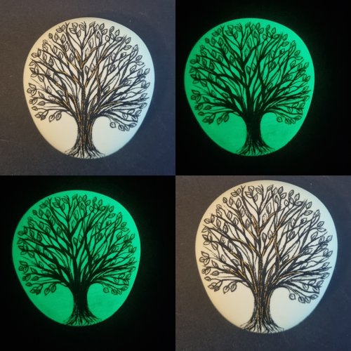 Les galets phosphorescents de wonder