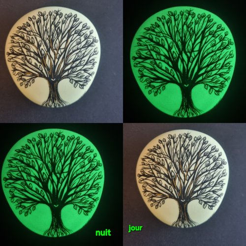 Les galets phosphorescents de wonder