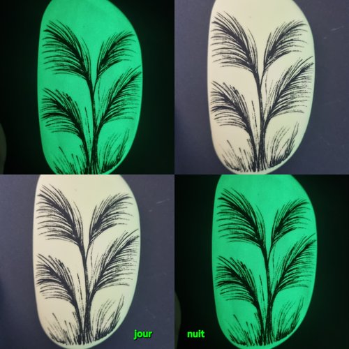 Les galets phosphorescents de wonder