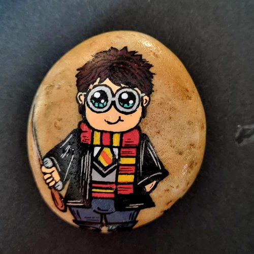 Les galets harrypotter de wonder