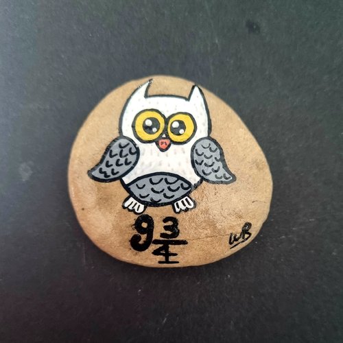 Les galets harrypotter de wonder