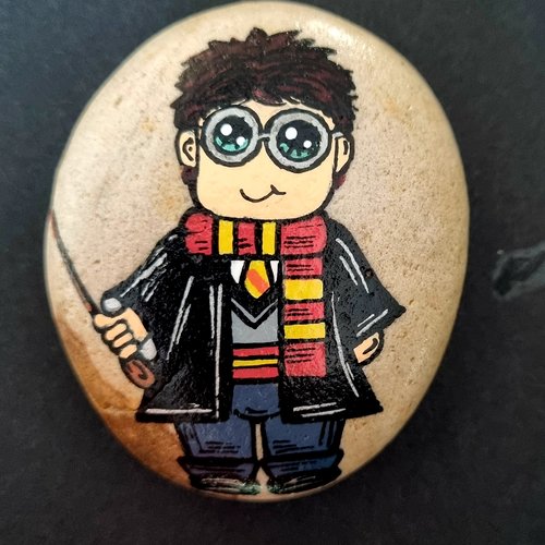 Les galets harrypotter de wonder