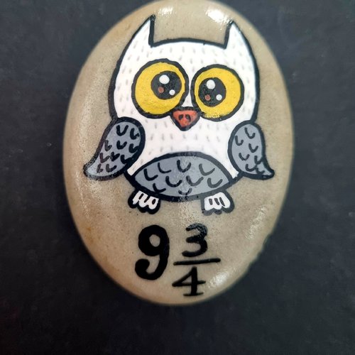 Les galets harrypotter de wonder